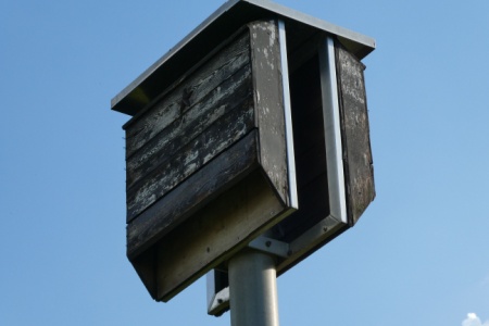 Casetta per pipistrelli